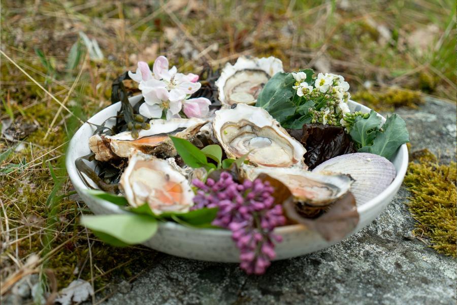 Ostron med jordgubbsponzu & gröna jordgubbar
