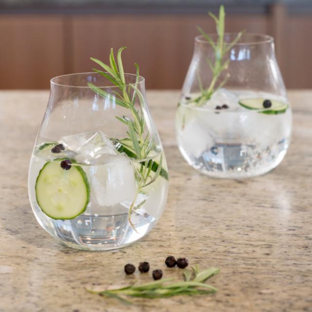 Gin & Tonic 4-pack