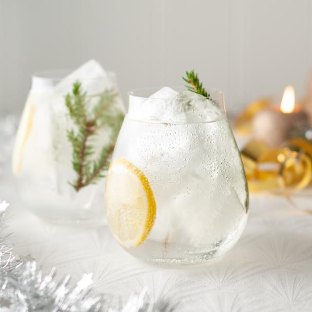 Gin & Tonic 4-pack