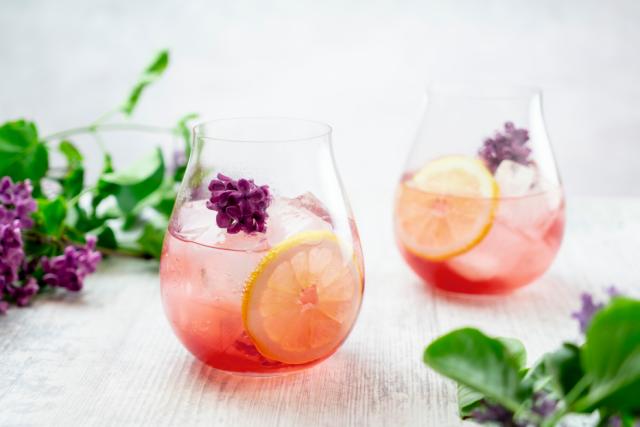 Gin & Tonic 4-pack