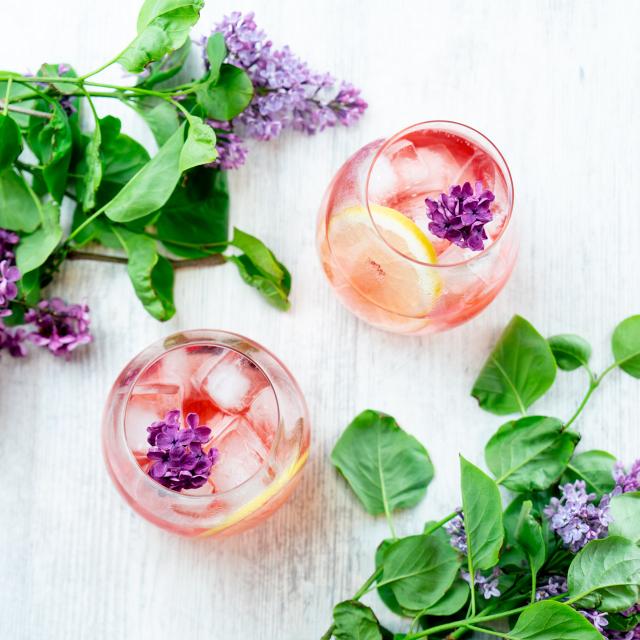 Gin & Tonic 4-pack
